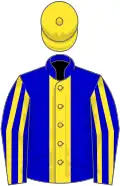 Blue, yellow stripe, striped sleeves, yellow cap