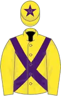Yellow, purple cross-belts and star on cap
