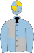Light blue and silver (quartered), light blue sleeves, blue and gold quartered cap