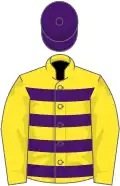 Yellow and purple hoops, yellow sleeves, purple cap