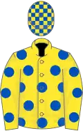 YELLOW, royal blue spots, check cap