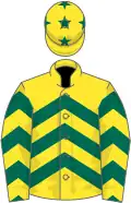 Yellow, dark green chevrons, stars on cap