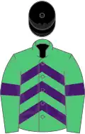 Emerald green, purple chevrons and armlets, black cap