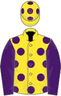 Yellow, purple spots, sleeves and spots on cap
