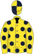 Yellow, dark blue spots, quartered cap