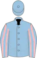 Light blue, pink striped sleeves