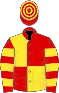 RED and YELLOW QUARTERED, hooped sleeves and cap