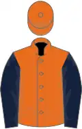 Orange, dark blue sleeves