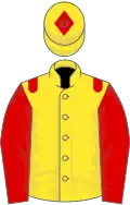 Yellow, red epaulettes and sleeves, red diamond on cap
