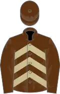 Brown, beige chevrons, brown sleeves and cap