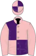 Pink and purple (quartered), pink sleeves
