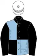 Black and light blue (quartered), black sleeves, white cap