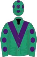 Emerald green, purple chevron, emerald green sleeves, purple spots, emerald green cap, purple spots