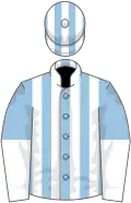 Light blue and white stripes, halved sleeves