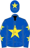 Royal blue, yellow star, yellow stars on sleeves, yellow star on cap