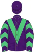Violet, Green sleeves, Purple chevrons, Purple cap