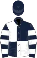 Dark blue and white (quartered), hooped sleeves, dark blue cap