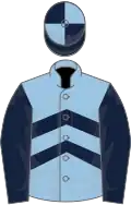 Light blue, dark blue chevrons and sleeves, dark blue and light blue quartered cap