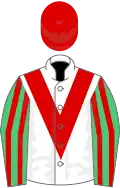 White, red chevron, emerald green and red striped sleeves, red cap