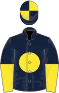 Dark blue, yellow disc, halved sleeves, dark blue and yellow quartered cap