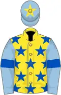 Yellow, royal blue stars, light blue sleeves, royal blue armlets, light blue cap, yellow star