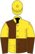 Yellow and brown quartered, halved sleeves, yellow cap