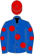 Royal Blue, large Red spots, Royal Blue sleeves, Red spots, Red cap