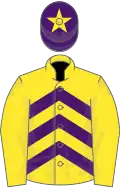 Yellow and purple chevrons, yellow sleeves, purple cap, yellow star