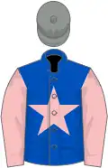 Blue, pink star and sleeves, grey cap