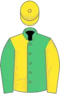 Emerald green and yellow (halved), reversed sleeves, yellow cap