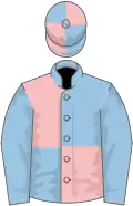 Light blue and pink (quartered), light blue sleeves