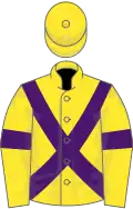 Yellow, purple cross belts and armlets