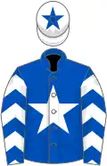 Royal blue, white star, chevrons on sleeves, white cap, royal blue star