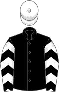 Black, white horses head, white chevrons on sleeves, white cap