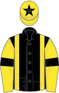 Black, Yellow braces, Yellow sleeves, Black armlets and star on Yellow cap