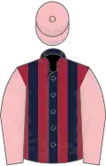 Dark blue and maroon stripes, pink sleeves and cap