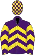 PURPLE and YELLOW CHEVRONS, check cap
