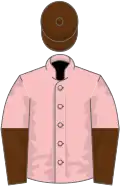 Pink, brown and pink halved sleeves, brown cap