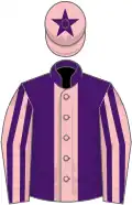 Purple, pink stripe, pink and purple striped sleeves, pink cap, purple star