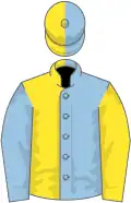 Light blue and yellow (halved), reversed sleeves, halved cap
