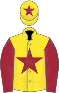 Yellow, maroon star, sleeves and star on cap