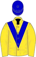 Yellow, blue chevron, yellow sleeves, blue cap