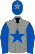 Grey, royal blue star and sleeves, royal blue cap, grey star