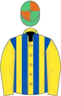 Yellow and royal blue stripes,yellow sleeves,emerald green and orange quartered cap