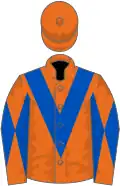 Orange, royal blue chevron, diabolo on sleeves, orange cap