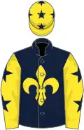 Dark Blue, yellow fleur de lys, Yellow sleeves, dark blue stars, Yellow cap, Dark Blue stars