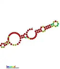P31: Secondary structure taken from the Rfam database. Family RF01676