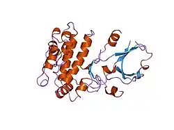 1a06: CALMODULIN-DEPENDENT PROTEIN KINASE FROM RAT