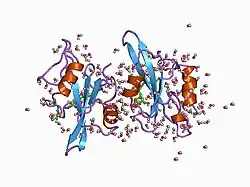 1a09: C-src (SH2 domain) complexed with ace-formyl phosphotyr-glu-(n,n-dipentyl amine)