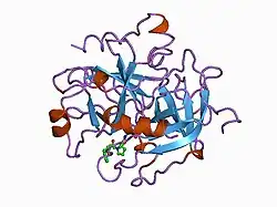 1a3e: COMPLEX OF HUMAN ALPHA-THROMBIN WITH THE BIFUNCTIONAL BORONATE INHIBITOR BOROLOG2